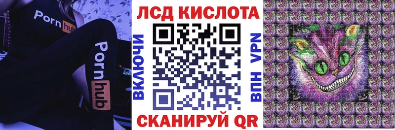 блэк спрут онион  Курчалой  shop наркотические препараты  сколько стоит  Марки 25I-NBOMe 1,8мг 